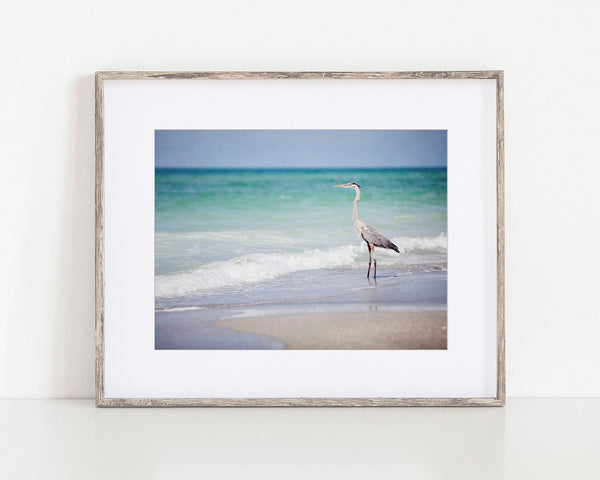 Coastal Florida Print - Teal and Aqua Heron Fishing