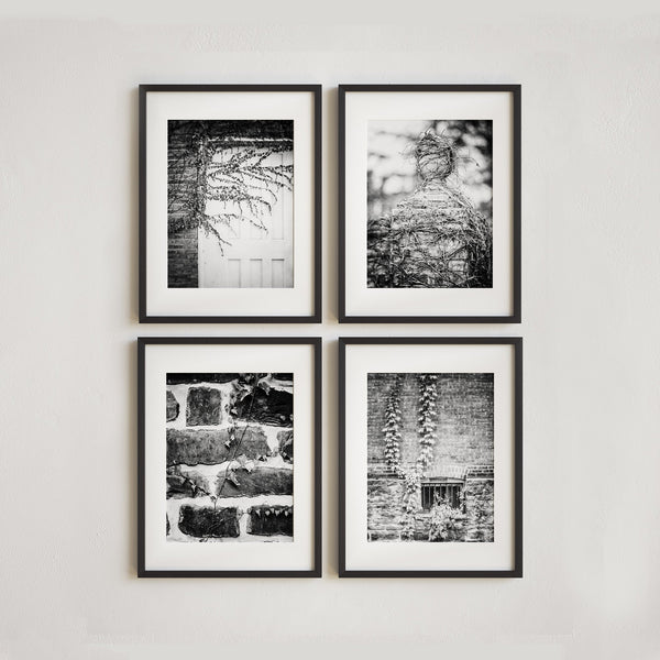 Lisa Russo Fine Art Farmhouse and Rustic Decor Brick & Ivy Neutral Wall Gallery | Black and White Art Prints Set of 4