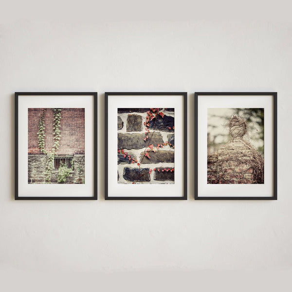 French Country Brick and Ivy Art Prints - Set of 3 - Neutral Tones