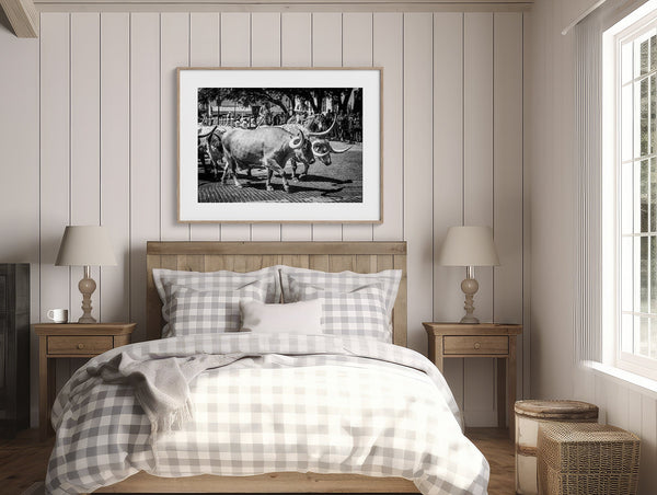 Lisa Russo Fine Art Farmhouse and Rustic Decor Texas | Fort Worth Herd | Longhorn Cattle Drive