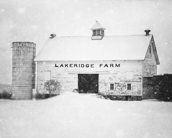 Peaceful Winter White Barn Print - Snowy Black and White Landscape Art