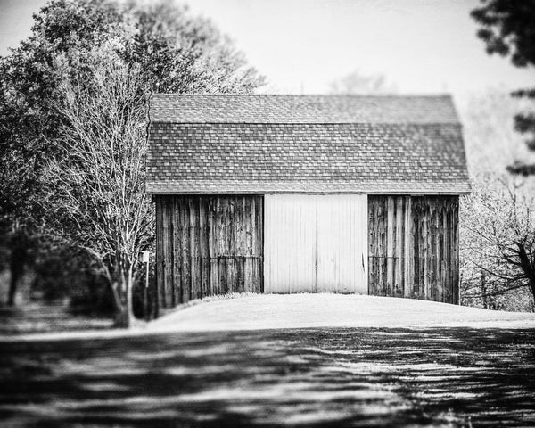 Rural Barn in the Trees Art Print in Black and White