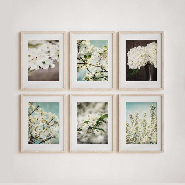 Shabby Chic Flower Art Prints - Set of 4 - Aqua White Brown - Feminine Home Decor