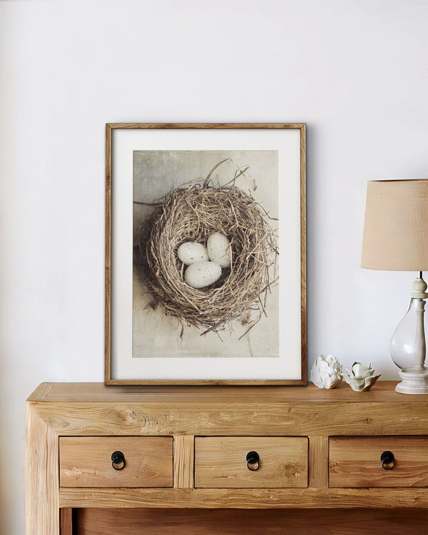 Neutral Beige Cottage Chic Birds Nest with Eggs - Kitchen, Nursery Art