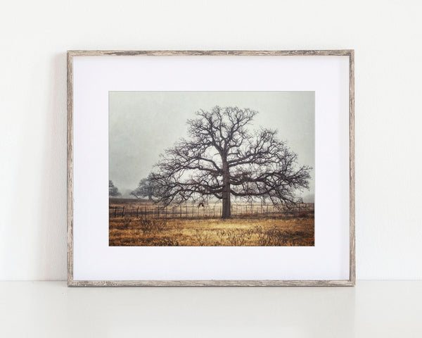Foggy Oak Texas Landscape Print in Golden Beige and Grey
