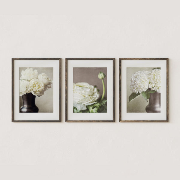 Nature Photography - Floral Art Prints Set of 3 - Elegant Neutral Ivory Flower Photographs