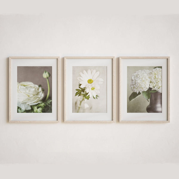 Floral Wall Art Prints - Set of 3 - Green and Ivory - Shabby Chic Decor