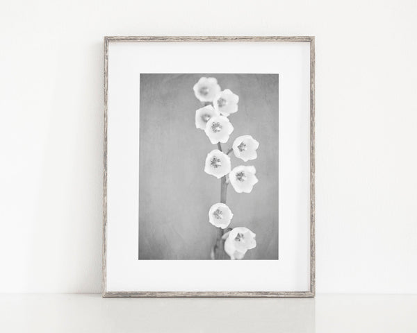 Black and White Lily of the Valley Minimalist Art for Modern Decor