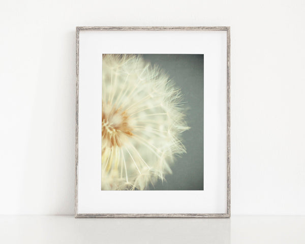 Dandelion Flower Print - Minimalist Wall Art