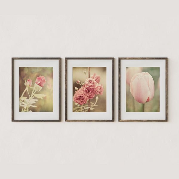 Pink Shabby Chic Floral Art Prints Set of 3 - Flowers for Home Decor