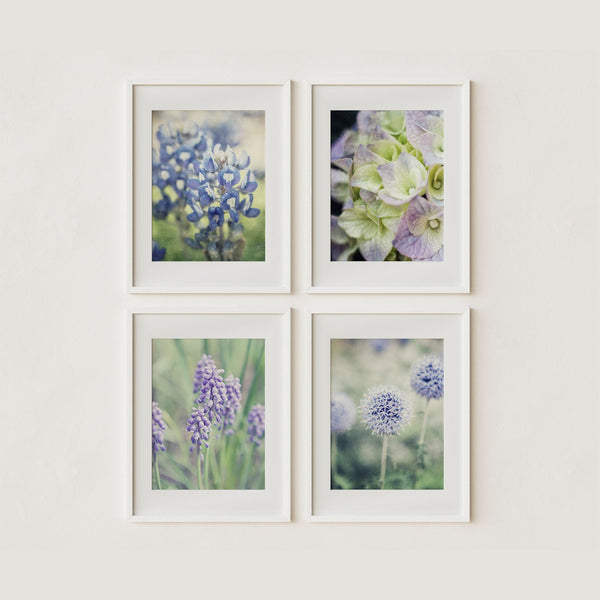 Purple French Country Florals | Nature Photography Art Prints Set of 4