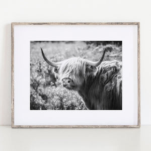 Lisa Russo Fine Art Travel Photography Scotland | Black and White Highland Cow
