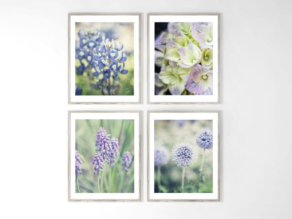 French Country Florals Art Prints Set of 4 in Black and White