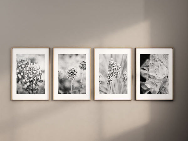 French Country Florals Art Prints Set of 4 in Black and White