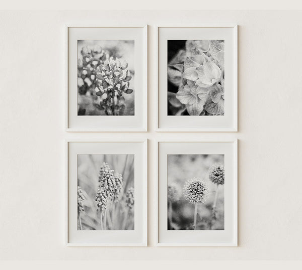 French Country Florals Art Prints Set of 4 in Black and White