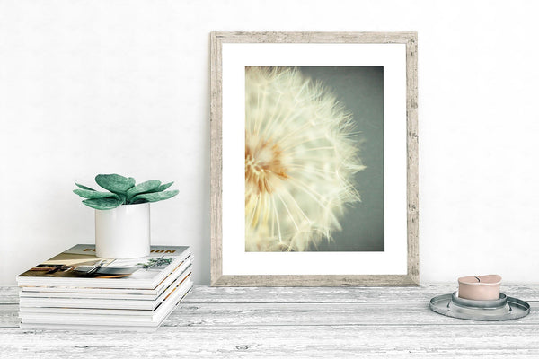 Dandelion Flower Print - Minimalist Wall Art