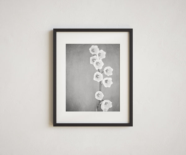 Black and White Lily of the Valley Minimalist Art for Modern Decor