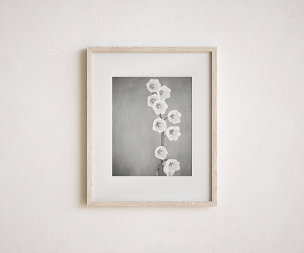 Black and White Lily of the Valley Minimalist Art for Modern Decor