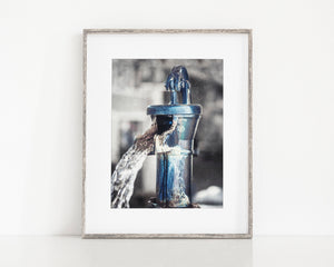 Lisa Russo Fine Art Bathroom & Laundry Room Texas Stockyards Water Pump