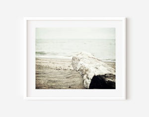 Lisa Russo Fine Art Beach Decor Coastal Beach Art Print - Minimalist Home Decor