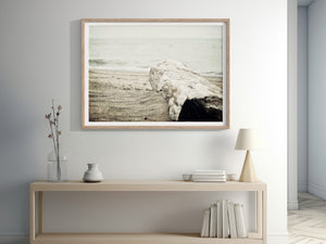 Lisa Russo Fine Art Beach Decor Coastal Beach Art Print - Minimalist Home Decor