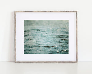 The image is a set of four framed photographs, each depicting different scenes related to nature and water.