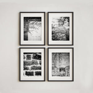 Lisa Russo Fine Art Farmhouse and Rustic Decor Brick & Ivy | Art Prints Set of 4