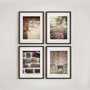 Lisa Russo Fine Art Farmhouse and Rustic Decor Brick & Ivy Neutral Wall Gallery | Black and White Art Prints Set of 4