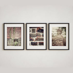 Lisa Russo Fine Art Farmhouse and Rustic Decor French Country Brick & Ivy