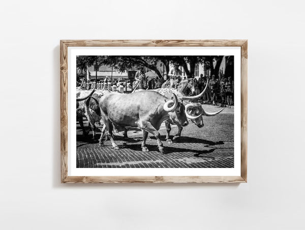 Lisa Russo Fine Art Farmhouse and Rustic Decor Texas | Fort Worth Herd | Longhorn Cattle Drive