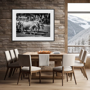 Lisa Russo Fine Art Farmhouse and Rustic Decor Texas | Fort Worth Herd | Longhorn Cattle Drive