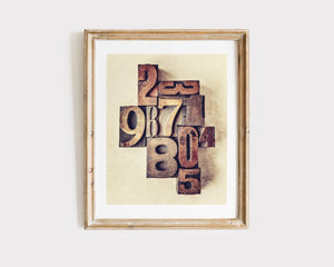 Lisa Russo Fine Art Farmhouse and Rustic Decor Vintage Nursery Wall Art or Office Decor - Antique Numbers Print