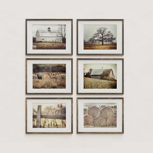 Beige and Gold Barns Art Prints - Set of 6 - Rustic Home Decor