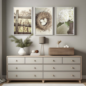 Lisa Russo Fine Art Farmhouse Decor Beige Country Cottage | Art Prints Set of 3