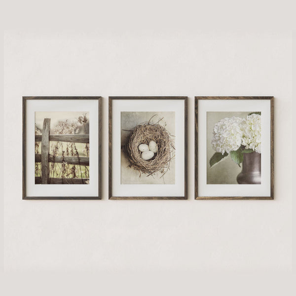 Beige Country Cottage Art Prints Set in Neutral Tones - Set of 3