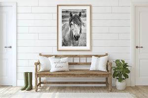 Lisa Russo Fine Art Farmhouse Decor Black and White Horse Photography - The Gelding