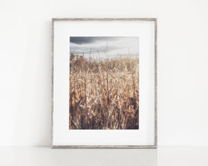 Lisa Russo Fine Art Farmhouse Decor Cornfield in the Fall