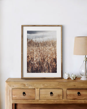 Lisa Russo Fine Art Farmhouse Decor Cornfield in the Fall