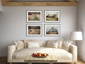 Lisa Russo Fine Art Farmhouse Decor Gold and Beige Country Landscapes | Art Prints Set of 4