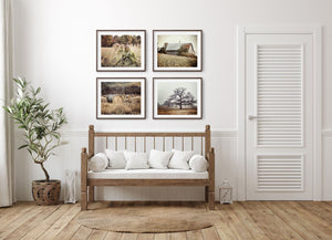 Country Landscapes Art Prints Set - Farmhouse Gold  Beige Decor Set of 4