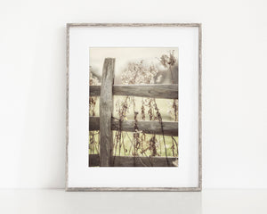 Lisa Russo Fine Art Farmhouse Decor Golden Pasture Fence