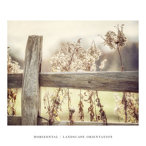 Lisa Russo Fine Art Farmhouse Decor Golden Pasture Fence