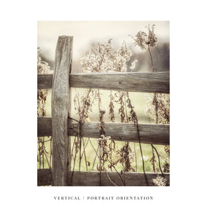 Lisa Russo Fine Art Farmhouse Decor Golden Pasture Fence