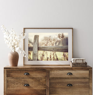 Lisa Russo Fine Art Farmhouse Decor Golden Pasture Fence