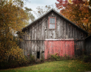 Picturesque Grey Barn with a Red Door in the Fall