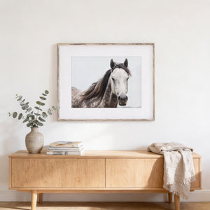 Lisa Russo Fine Art Farmhouse Decor Grey Mare Horse Print - Perfect for Horse Lovers