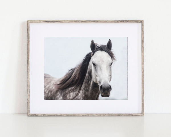 Grey Mare Horse Print - Perfect for Horse Lovers