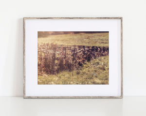 Lisa Russo Fine Art Farmhouse Decor Meander | Vintage Fall Fence