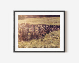 Lisa Russo Fine Art Farmhouse Decor Meander | Vintage Fall Fence