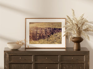 Lisa Russo Fine Art Farmhouse Decor Meander | Vintage Fall Fence